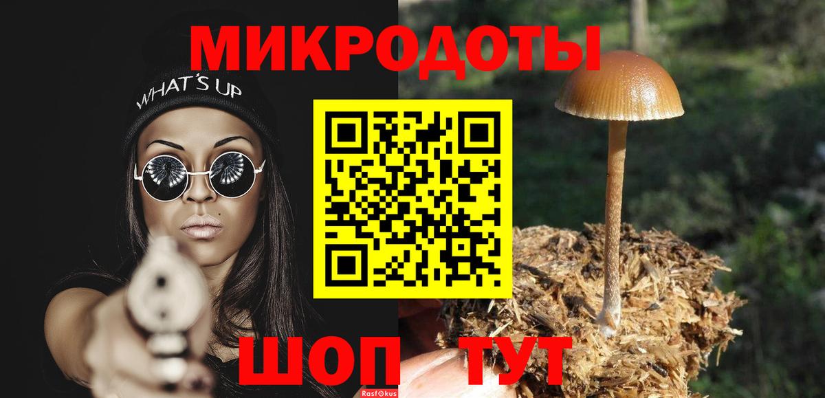 Псилоцибиновые грибы Psilocybe  Галлюциногенные грибы Psilocybine cubensis  Верхний Уфалей  Вход с VPN 