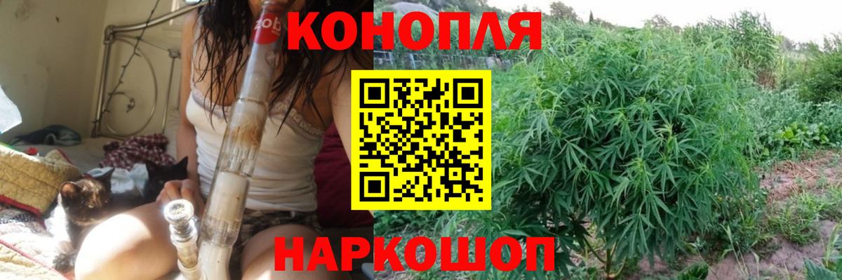 Марихуана индика  Марихуана Ganja  Вход с VPN  Бошки марихуана планчик  Верхний Уфалей 